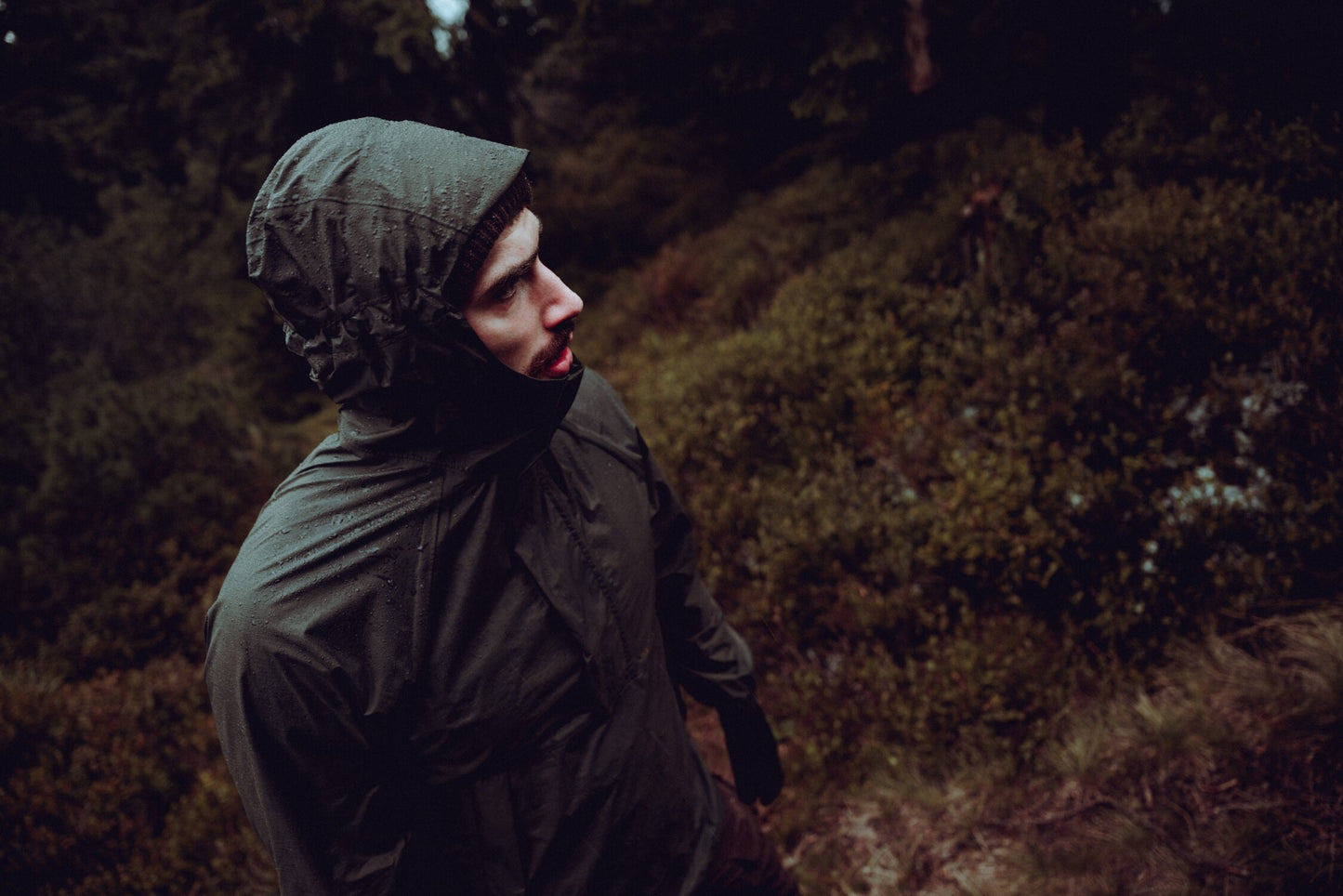 Levanter Jacket