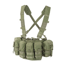 Laden Sie das Bild in den Galerie-Viewer, GUARDIAN CHEST RIG
