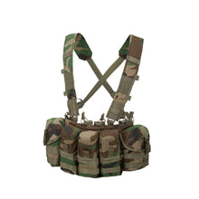 Laden Sie das Bild in den Galerie-Viewer, GUARDIAN CHEST RIG
